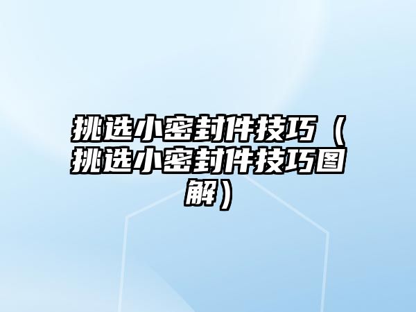 挑選小密封件技巧（挑選小密封件技巧圖解）