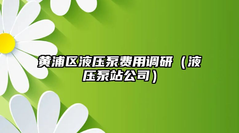 黃浦區(qū)液壓泵費(fèi)用調(diào)研（液壓泵站公司）