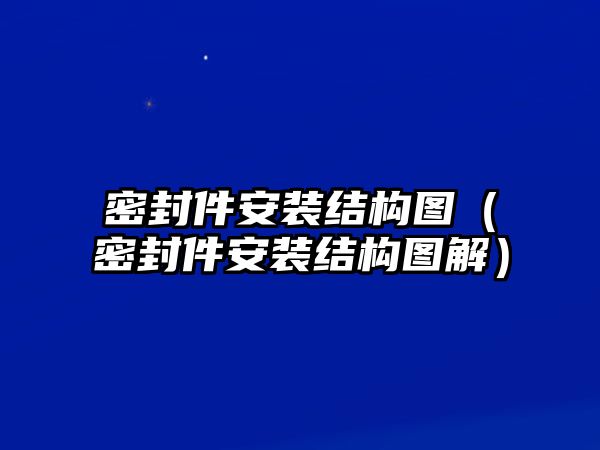 密封件安裝結(jié)構(gòu)圖（密封件安裝結(jié)構(gòu)圖解）