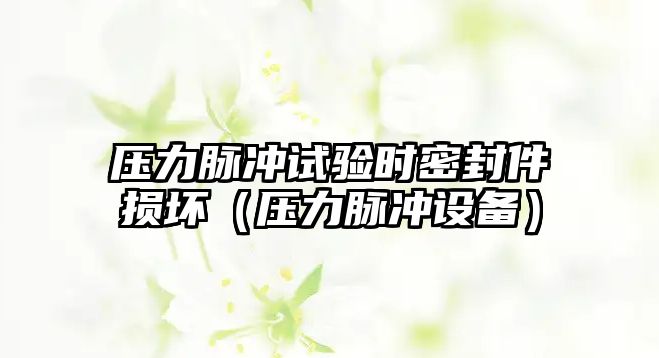 壓力脈沖試驗(yàn)時密封件損壞（壓力脈沖設(shè)備）