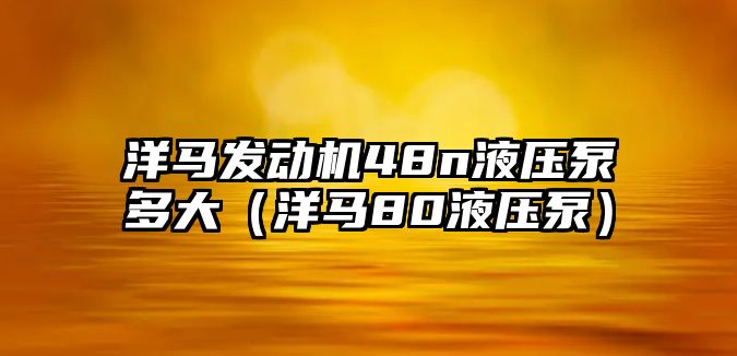 洋馬發(fā)動機48n液壓泵多大（洋馬80液壓泵）