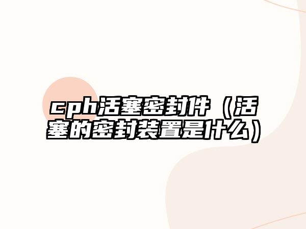 cph活塞密封件（活塞的密封裝置是什么）