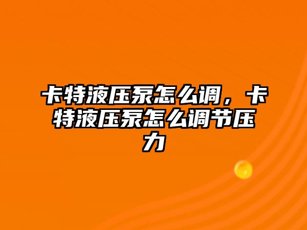 卡特液壓泵怎么調(diào)，卡特液壓泵怎么調(diào)節(jié)壓力