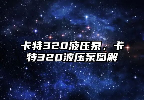 卡特320液壓泵，卡特320液壓泵圖解