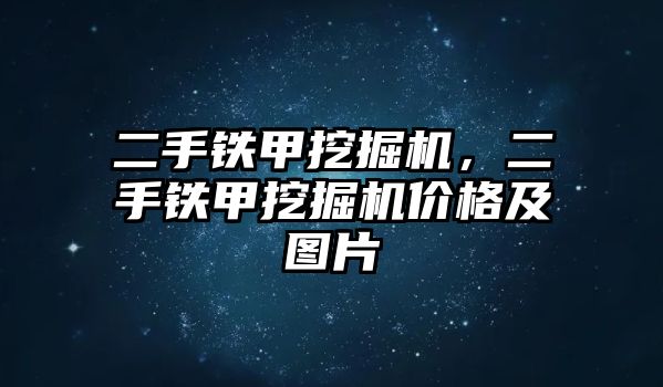 二手鐵甲挖掘機(jī)，二手鐵甲挖掘機(jī)價格及圖片