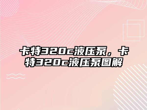 卡特320c液壓泵，卡特320c液壓泵圖解