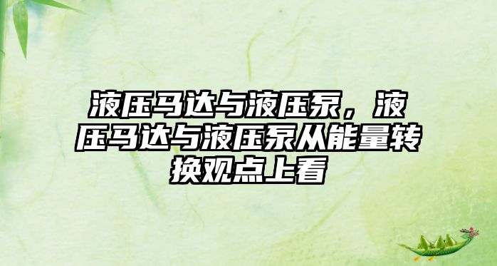 液壓馬達與液壓泵，液壓馬達與液壓泵從能量轉(zhuǎn)換觀點上看