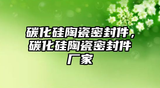 碳化硅陶瓷密封件，碳化硅陶瓷密封件廠家