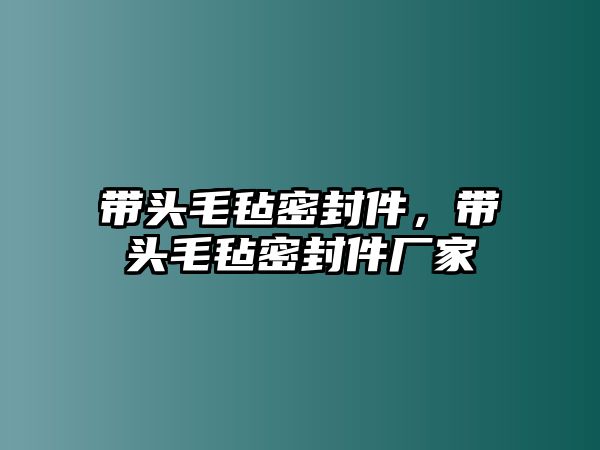 帶頭毛氈密封件，帶頭毛氈密封件廠家