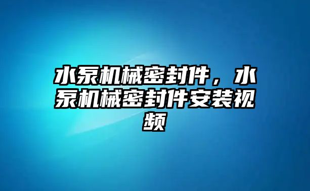 水泵機(jī)械密封件，水泵機(jī)械密封件安裝視頻