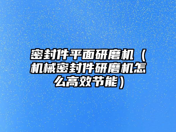 密封件平面研磨機（機械密封件研磨機怎么高效節(jié)能）