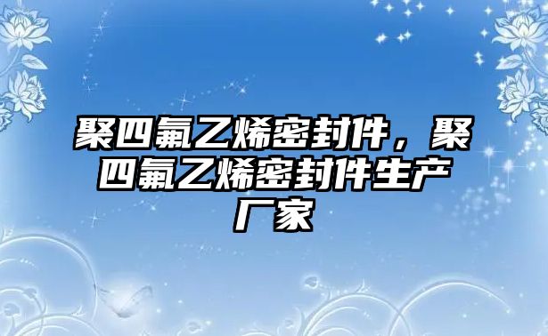 聚四氟乙烯密封件，聚四氟乙烯密封件生產(chǎn)廠家