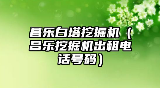 昌樂白塔挖掘機（昌樂挖掘機出租電話號碼）