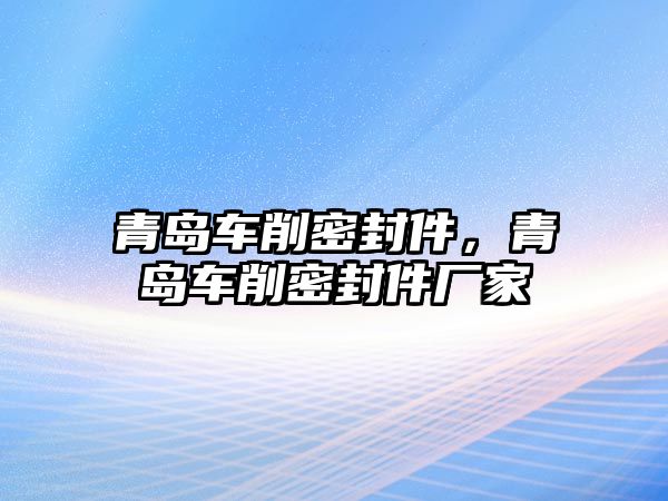 青島車削密封件，青島車削密封件廠家