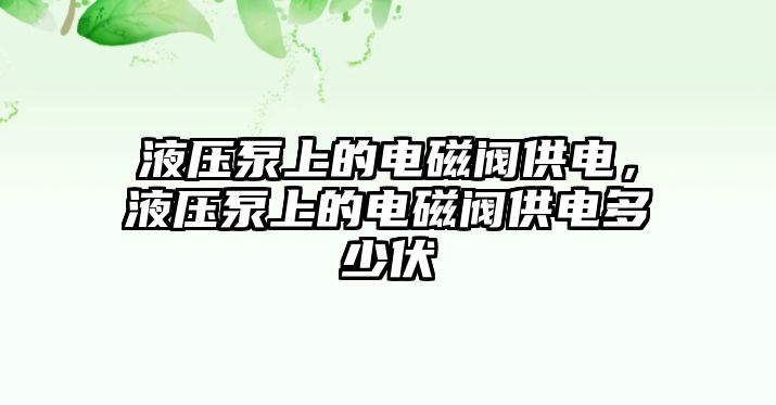 液壓泵上的電磁閥供電，液壓泵上的電磁閥供電多少伏