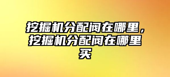 挖掘機(jī)分配閥在哪里，挖掘機(jī)分配閥在哪里買