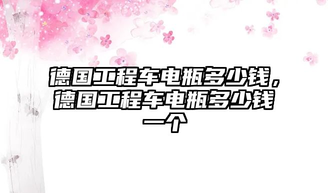 德國(guó)工程車電瓶多少錢，德國(guó)工程車電瓶多少錢一個(gè)