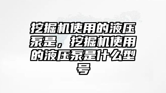 挖掘機使用的液壓泵是，挖掘機使用的液壓泵是什么型號