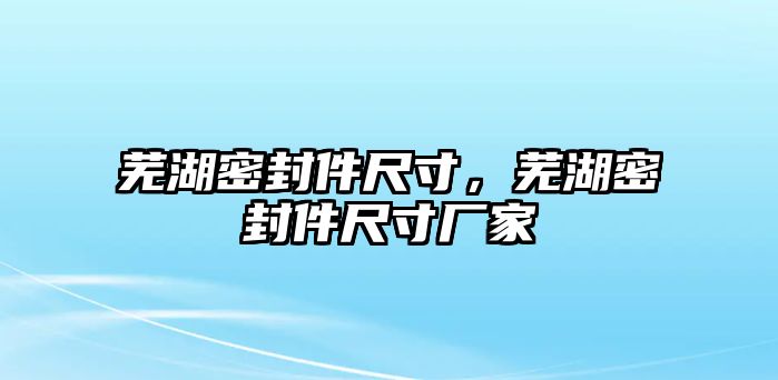 蕪湖密封件尺寸，蕪湖密封件尺寸廠家