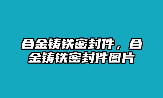 合金鑄鐵密封件，合金鑄鐵密封件圖片