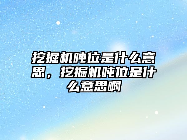 挖掘機噸位是什么意思，挖掘機噸位是什么意思啊