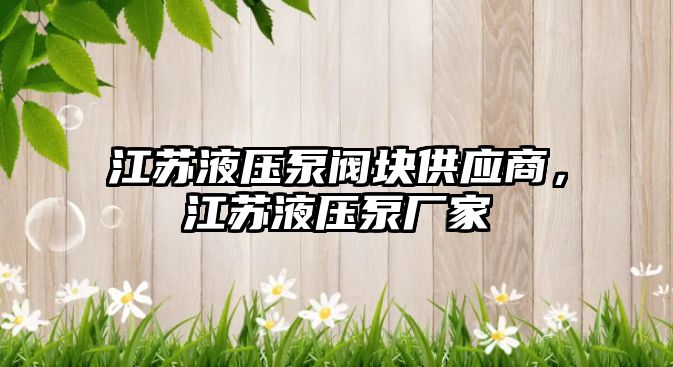 江蘇液壓泵閥塊供應(yīng)商，江蘇液壓泵廠家