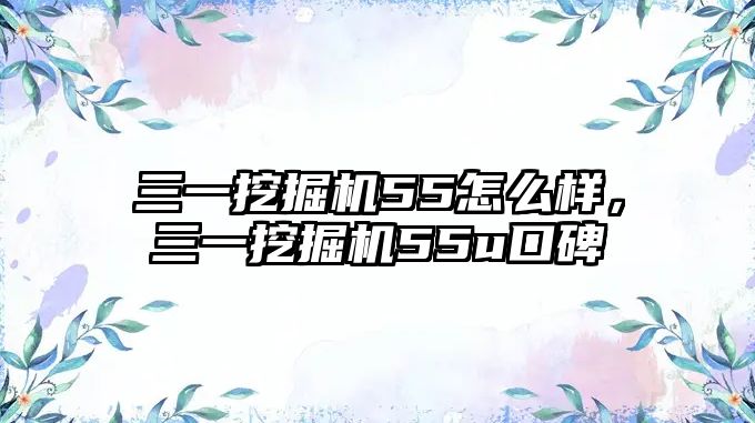 三一挖掘機55怎么樣，三一挖掘機55u口碑