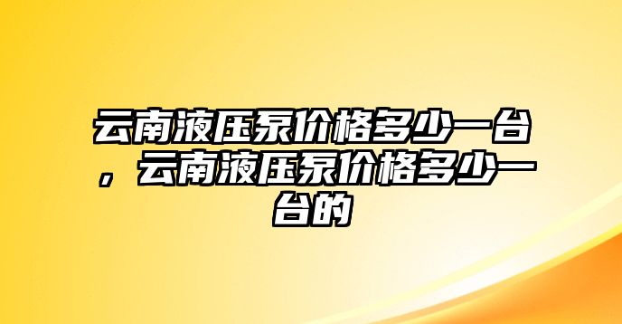 云南液壓泵價格多少一臺，云南液壓泵價格多少一臺的