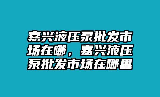 嘉興液壓泵批發(fā)市場在哪，嘉興液壓泵批發(fā)市場在哪里