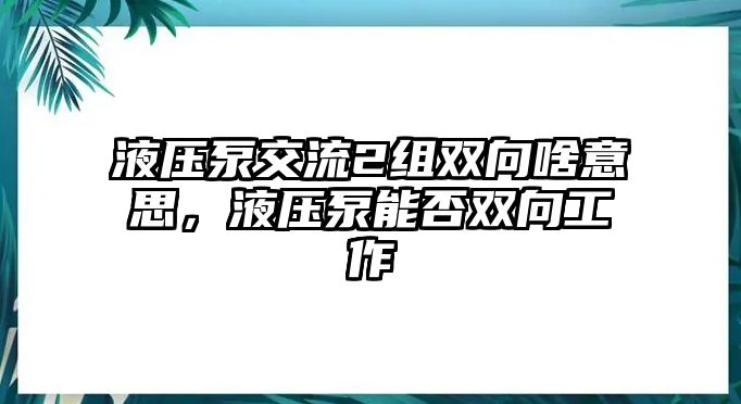 液壓泵交流2組雙向啥意思，液壓泵能否雙向工作