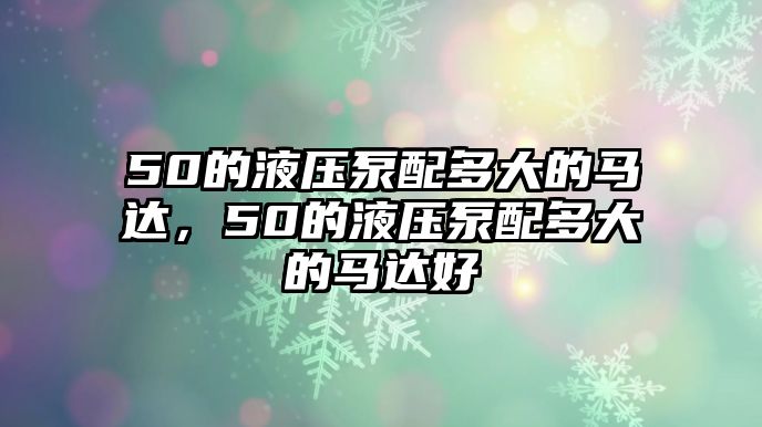 50的液壓泵配多大的馬達(dá)，50的液壓泵配多大的馬達(dá)好