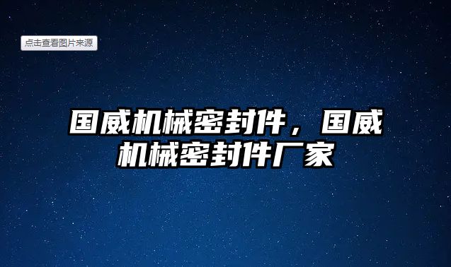 國威機械密封件，國威機械密封件廠家