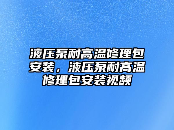 液壓泵耐高溫修理包安裝，液壓泵耐高溫修理包安裝視頻