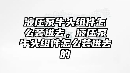 液壓泵牛頭組件怎么裝進去，液壓泵牛頭組件怎么裝進去的