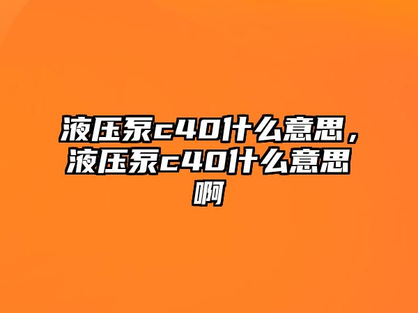 液壓泵c40什么意思，液壓泵c40什么意思啊