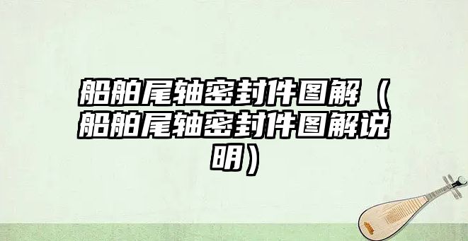 船舶尾軸密封件圖解（船舶尾軸密封件圖解說明）