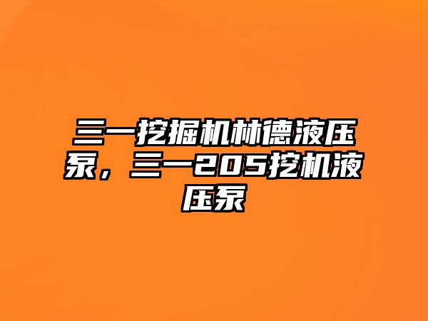 三一挖掘機(jī)林德液壓泵，三一205挖機(jī)液壓泵