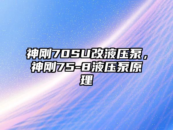 神剛70SU改液壓泵，神剛75-8液壓泵原理