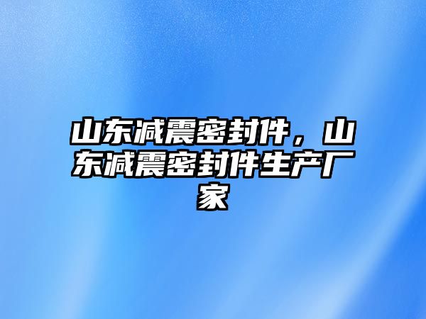 山東減震密封件，山東減震密封件生產廠家