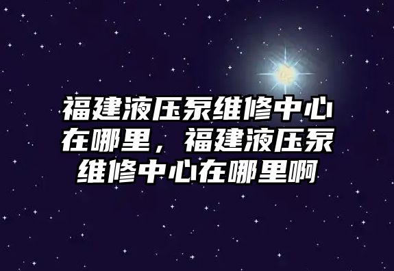 福建液壓泵維修中心在哪里，福建液壓泵維修中心在哪里啊