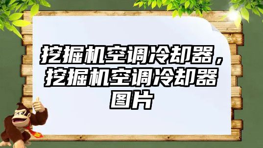 挖掘機(jī)空調(diào)冷卻器，挖掘機(jī)空調(diào)冷卻器圖片