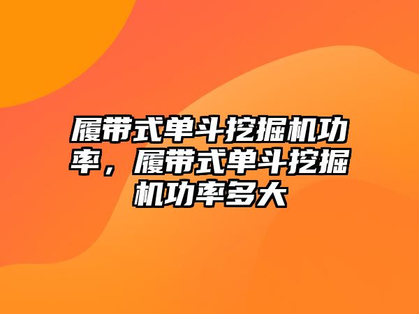 履帶式單斗挖掘機功率，履帶式單斗挖掘機功率多大