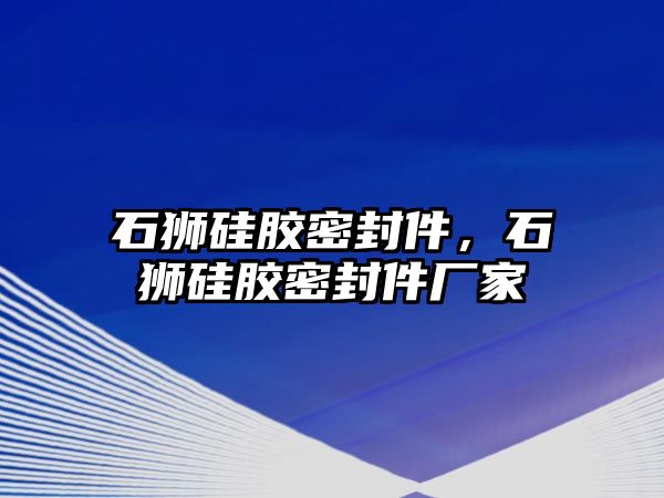 石獅硅膠密封件，石獅硅膠密封件廠家