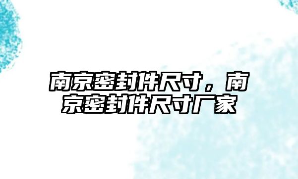 南京密封件尺寸，南京密封件尺寸廠家