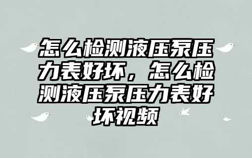 怎么檢測液壓泵壓力表好壞，怎么檢測液壓泵壓力表好壞視頻