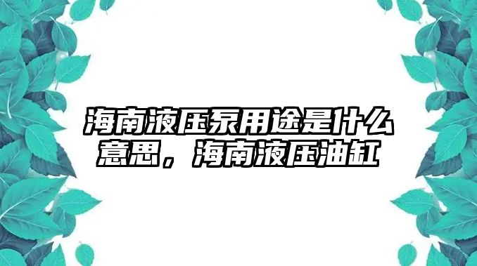 海南液壓泵用途是什么意思，海南液壓油缸