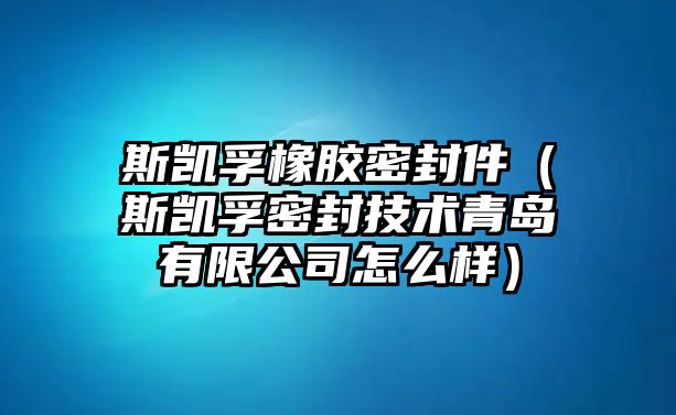 斯凱孚橡膠密封件（斯凱孚密封技術青島有限公司怎么樣）