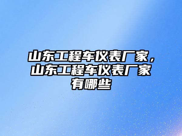 山東工程車儀表廠家，山東工程車儀表廠家有哪些