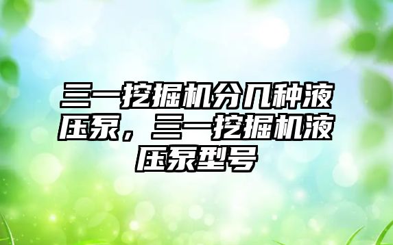 三一挖掘機分幾種液壓泵，三一挖掘機液壓泵型號