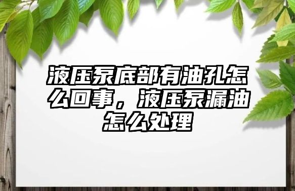 液壓泵底部有油孔怎么回事，液壓泵漏油怎么處理